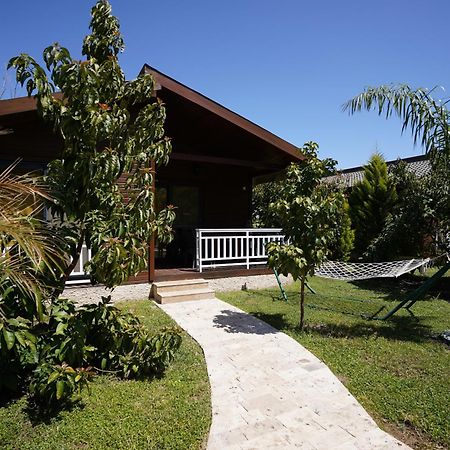 Cirali Villas 2 المظهر الخارجي الصورة